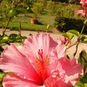 Picasa 2.7
